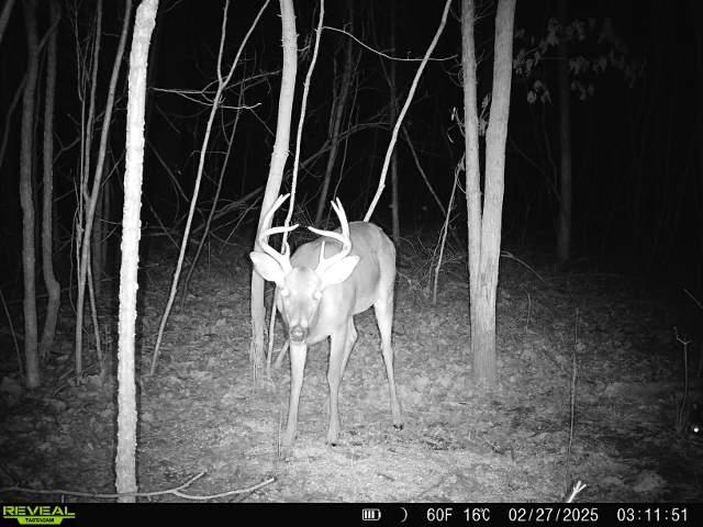 483 Phillips 131 Road Marvell, AR 72366 - Photo 24 of 40 a view of entryway