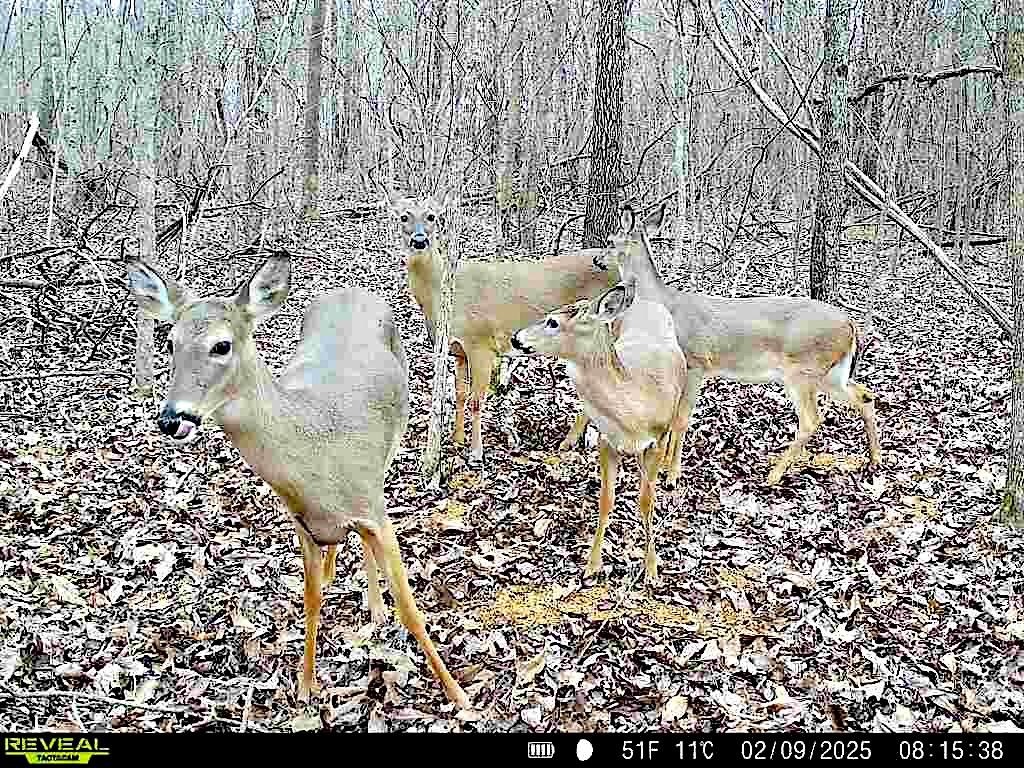 483 Phillips 131 Road Marvell, AR 72366 - Photo 27 of 40