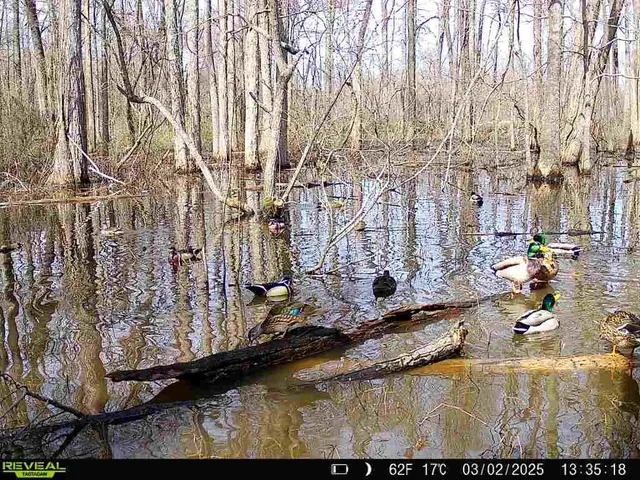 $1,285,600 | 483 Phillips 131 Road, Marvell, AR 72366