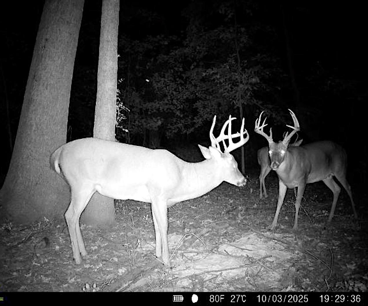 483 Phillips 131 Road Marvell, AR 72366 - Photo 3 of 40 a view of a table and chairs in patio