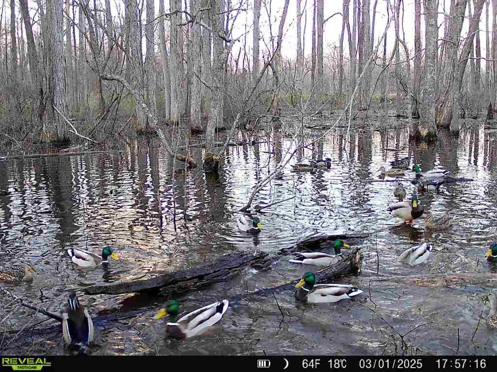 483 Phillips 131 Road Marvell, AR 72366 - Photo 32 of 40 a view of outdoor space with seating area