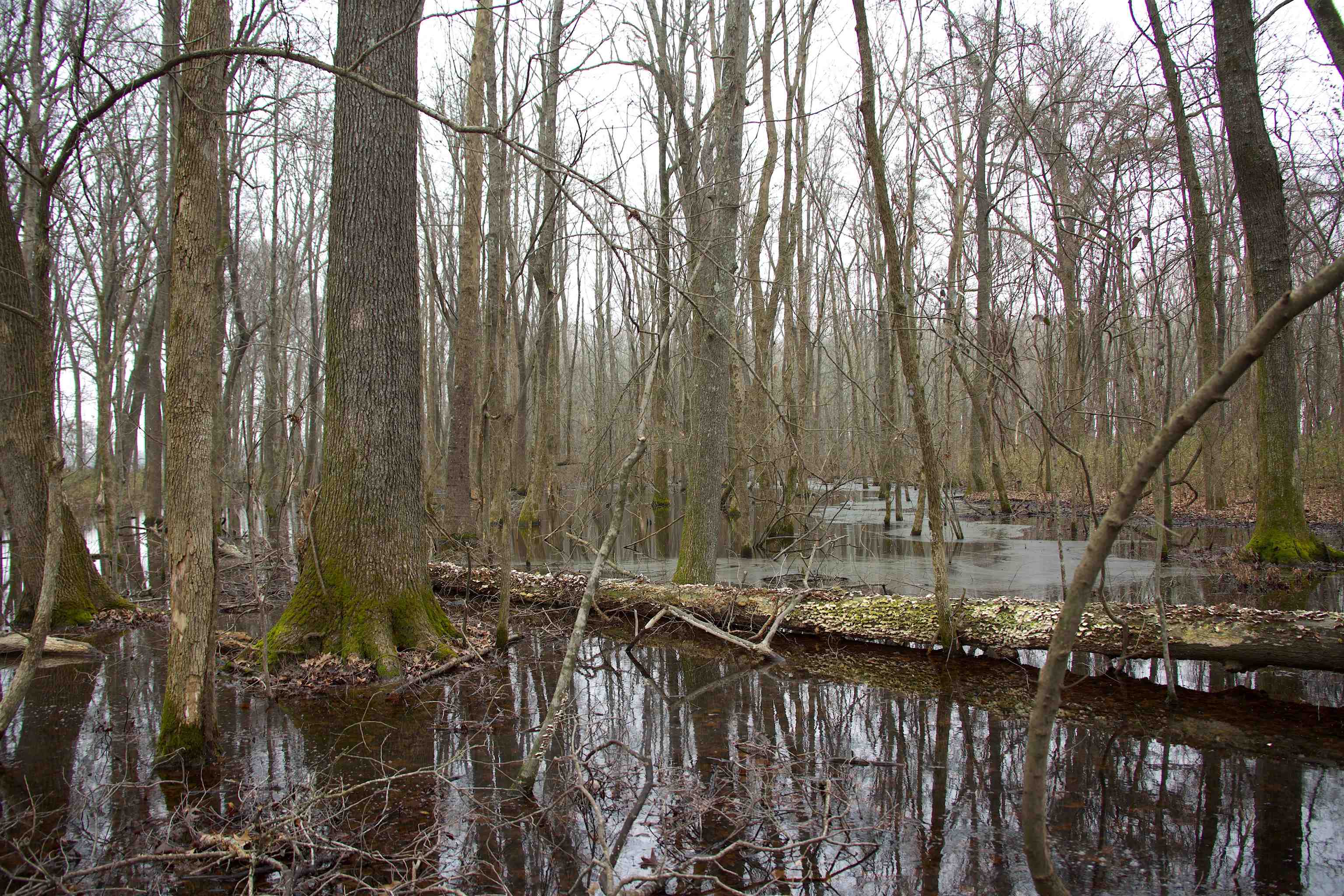 483 Phillips 131 Road Marvell, AR 72366 - Photo 36 of 40