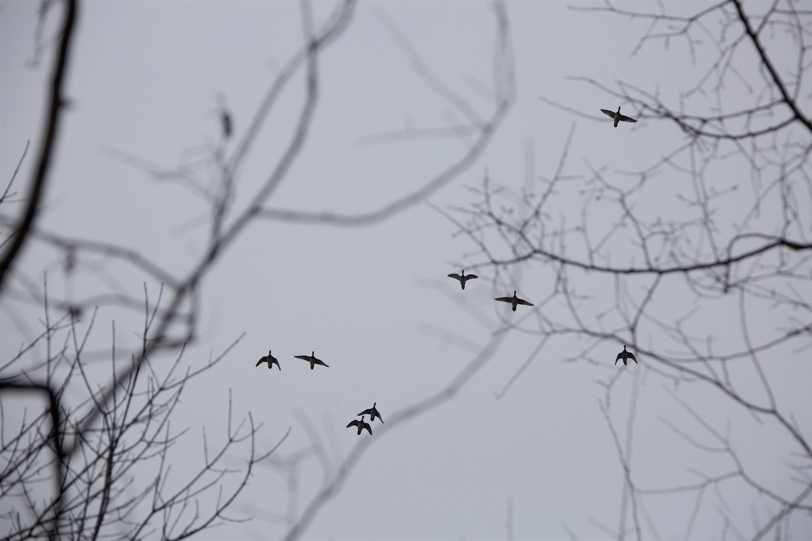 483 Phillips 131 Road Marvell, AR 72366 - Photo 6 of 40 a bathroom with a bathtub and shower