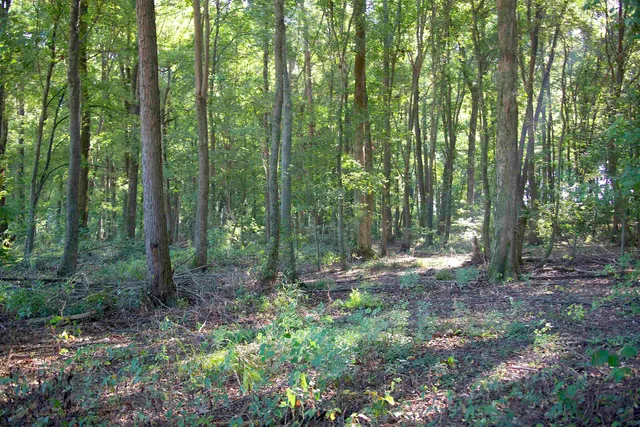 $1,285,600 | 483 Phillips 131 Road, Marvell, AR 72366