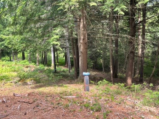 1 First Crown Point Road Strafford, NH 03884 - Photo 2 of 10