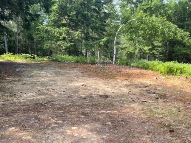 1 First Crown Point Road Strafford, NH 03884 - Photo 3 of 10