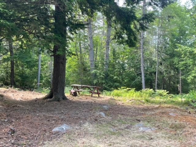 1 First Crown Point Road Strafford, NH 03884 - Photo 4 of 10