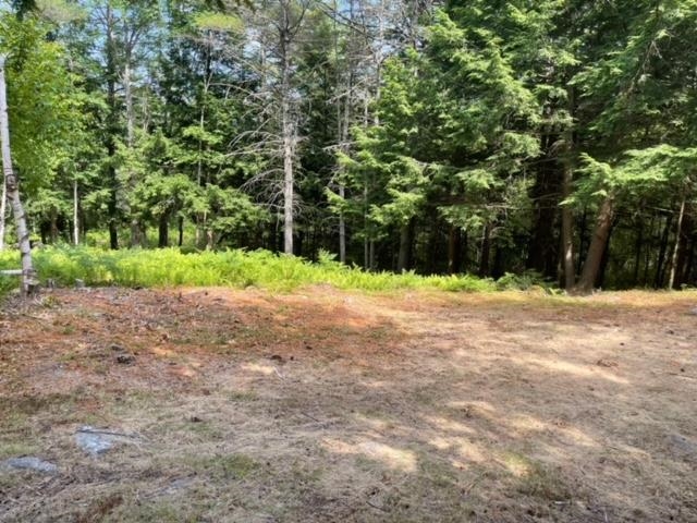 1 First Crown Point Road Strafford, NH 03884 - Photo 8 of 10