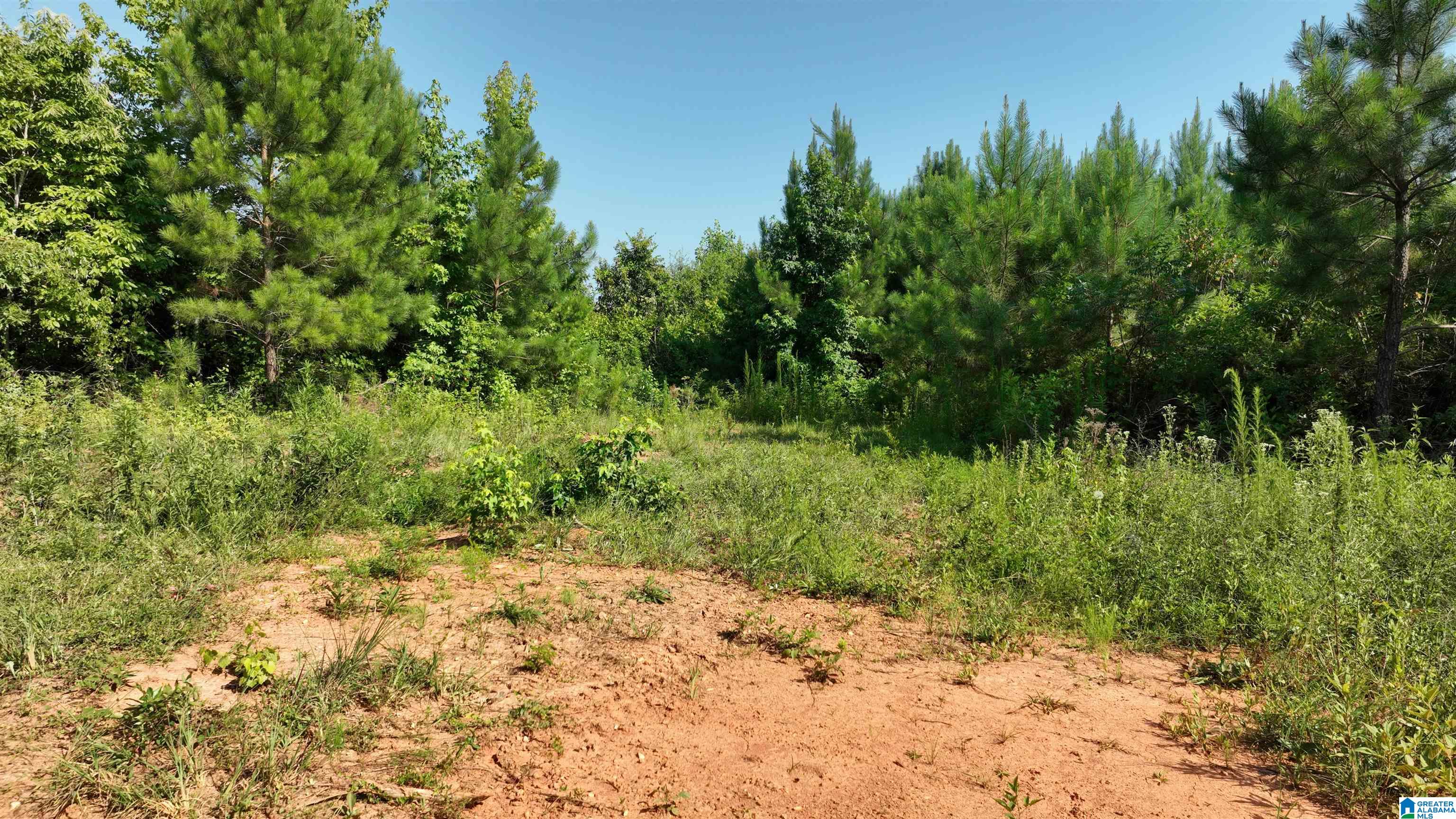 2 County Road 253, Unit 2 Clanton, AL 35046 - Photo 38 of 40