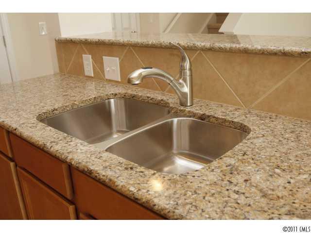 2187 Durand Road, Unit 83 Fort Mill, SC 29715 - Photo 6 of 16 a close view of sink and tap