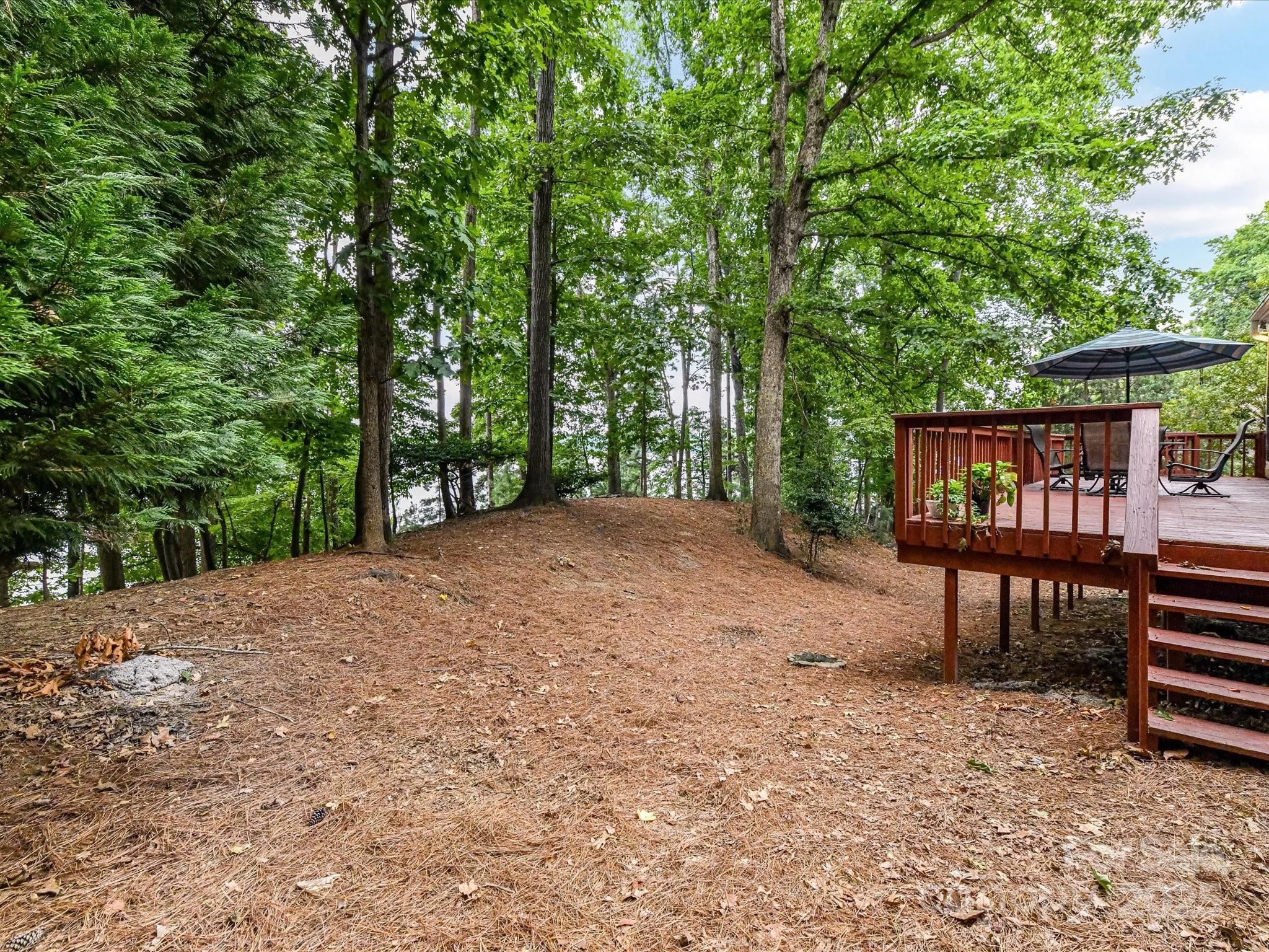 2061 Marquesas Avenue Tega Cay, SC 29708 - Photo 34 of 46