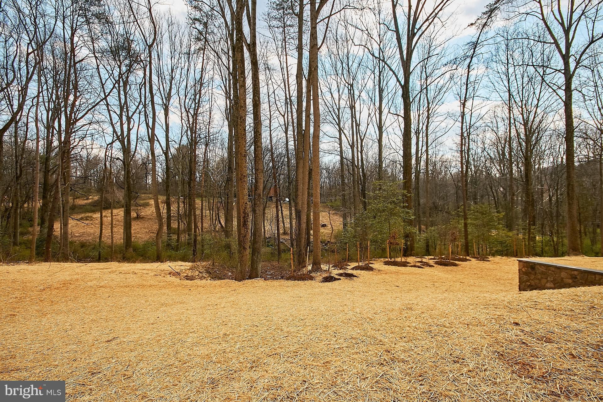 2109 Whippoorwill Road Vienna, VA 22181 - Photo 30 of 30 Exterior (Rear)