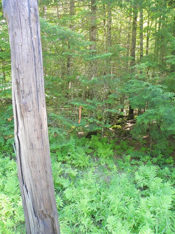 72 West Old Main Road Burlington, ME 04417 - Photo 7 of 17 one of the corner pins