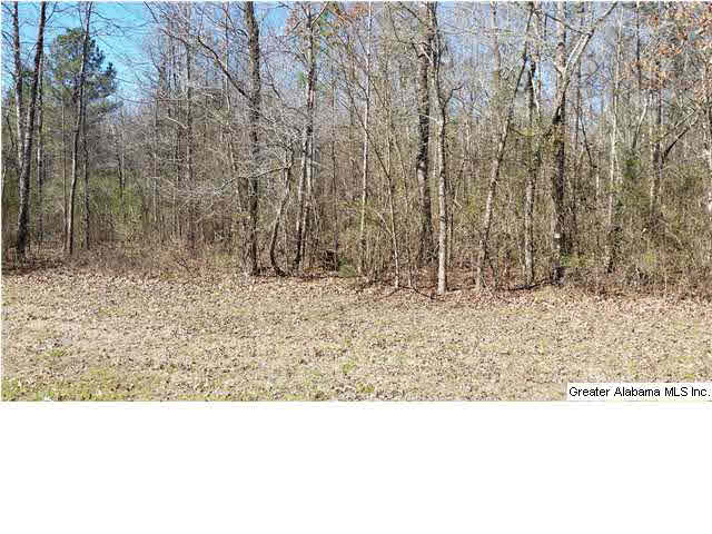 Slasham Road, Unit 22 Ashville, AL 35953 - Photo 4 of 4