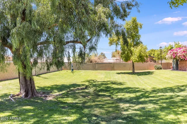 a view of a swimming pool with a yard