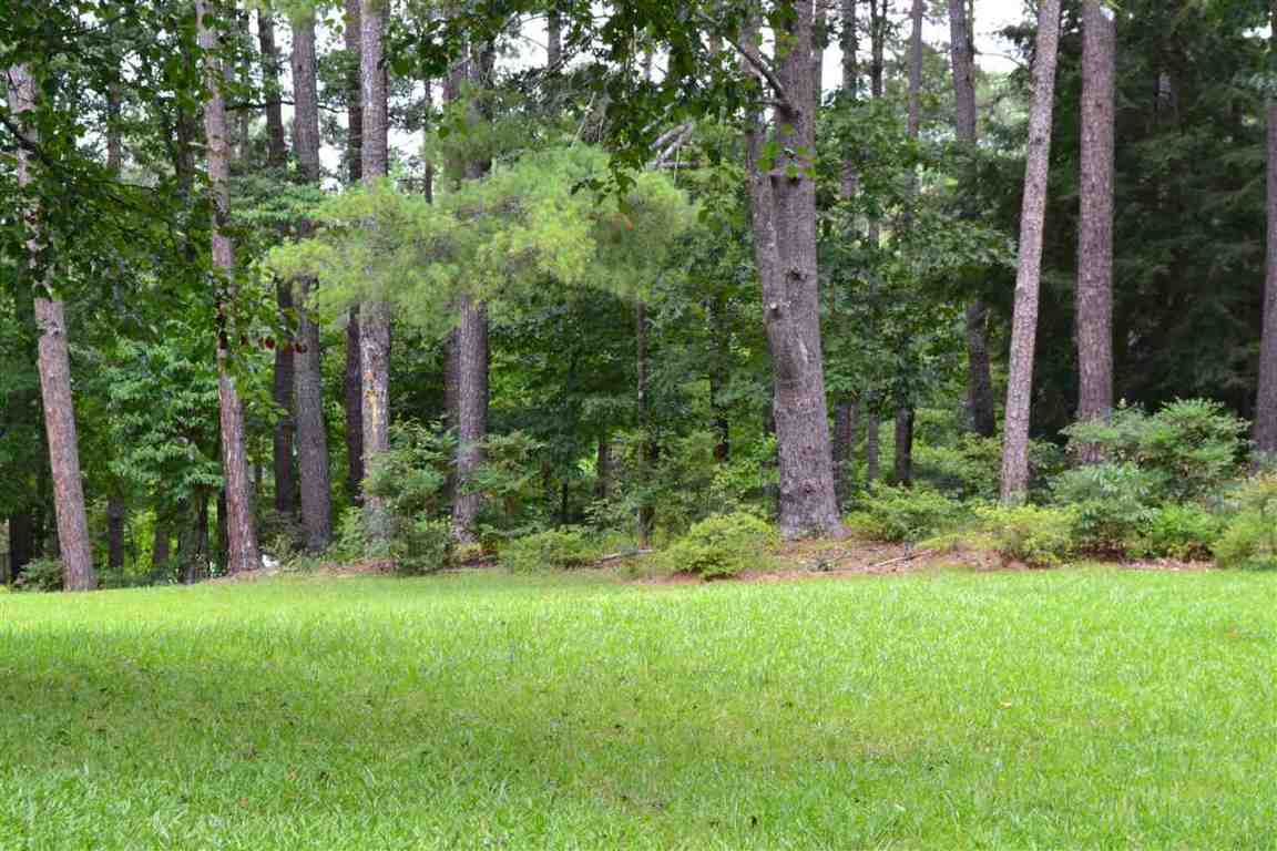Petty Road, Unit TRACTS Seneca, SC 29672 - Photo 15 of 31 Gallery Image 15