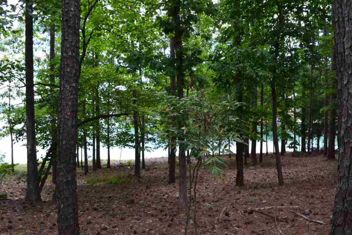 Petty Road, Unit TRACTS Seneca, SC 29672 - Photo 25 of 31 Gallery Image 25