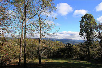 3019 Frontage Road Buchanan, VA 24066 - Photo 3 of 49 Long Mountain Views from Front Porch