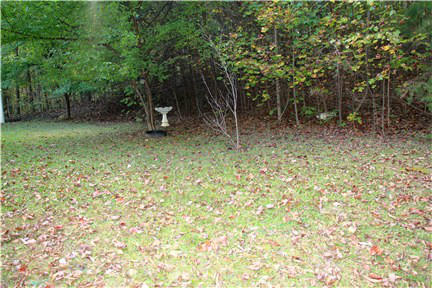 3019 Frontage Road Buchanan, VA 24066 - Photo 43 of 49 Back Yard