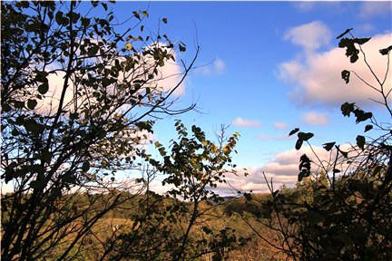 3019 Frontage Road Buchanan, VA 24066 - Photo 46 of 49 Views
