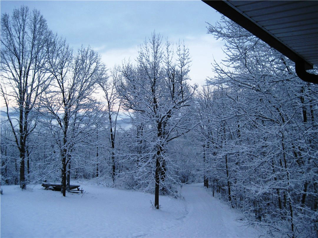 3019 Frontage Road Buchanan, VA 24066 - Photo 48 of 49 Winter View from Front Porch