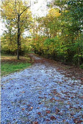 3019 Frontage Road Buchanan, VA 24066 - Photo 49 of 49 Driveway Lane from House