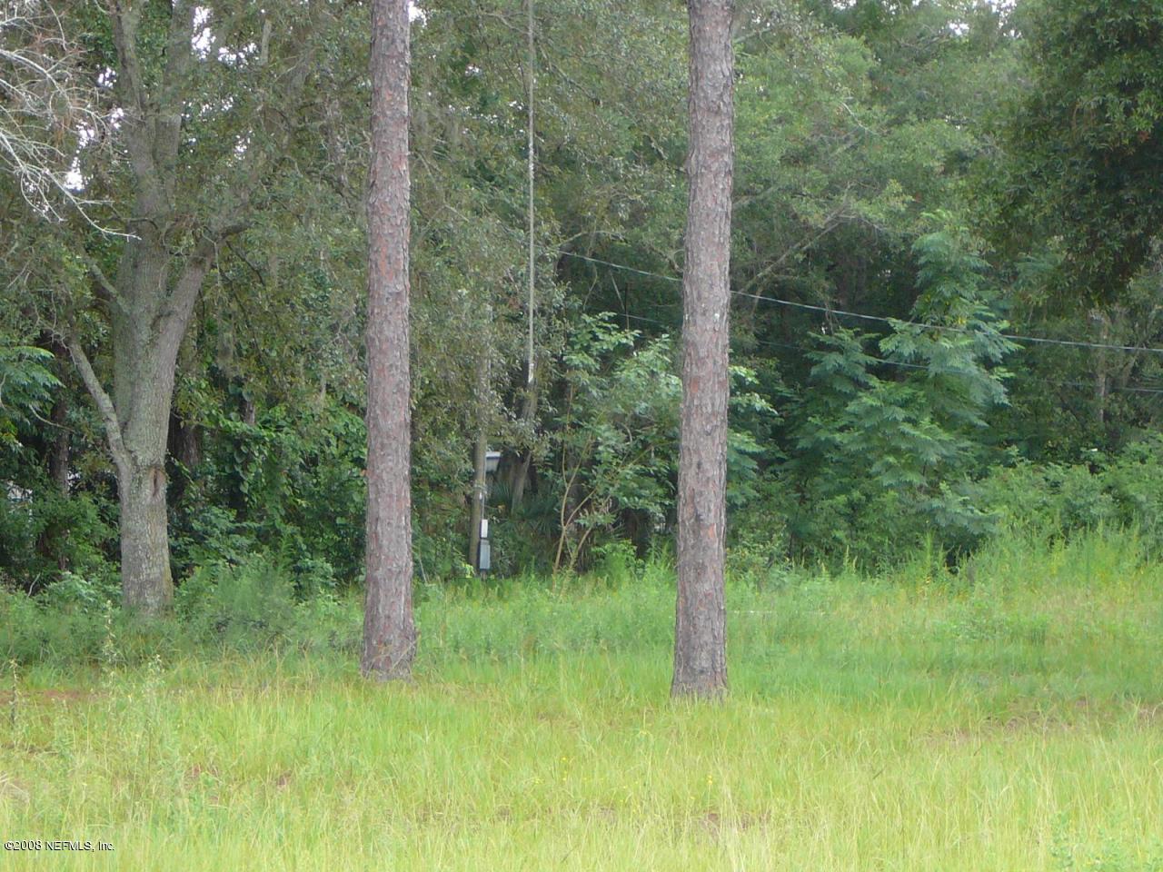 540 Jackson Road Jacksonville, FL 32225 - Photo 4 of 10 a view of a lush green forest