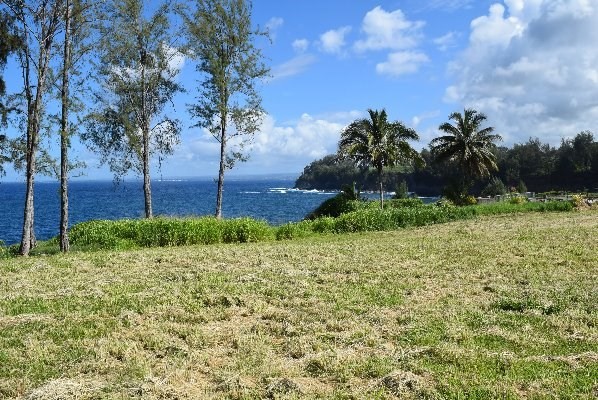 24 Lot Pepeekeo, HI 96783 - Photo 10 of 18