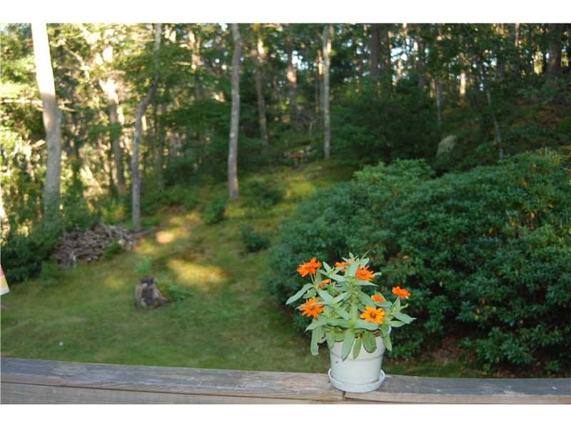 65 Old Coach Road Charlestown, RI 02813 - Photo 4 of 24 Yard/Garden.
