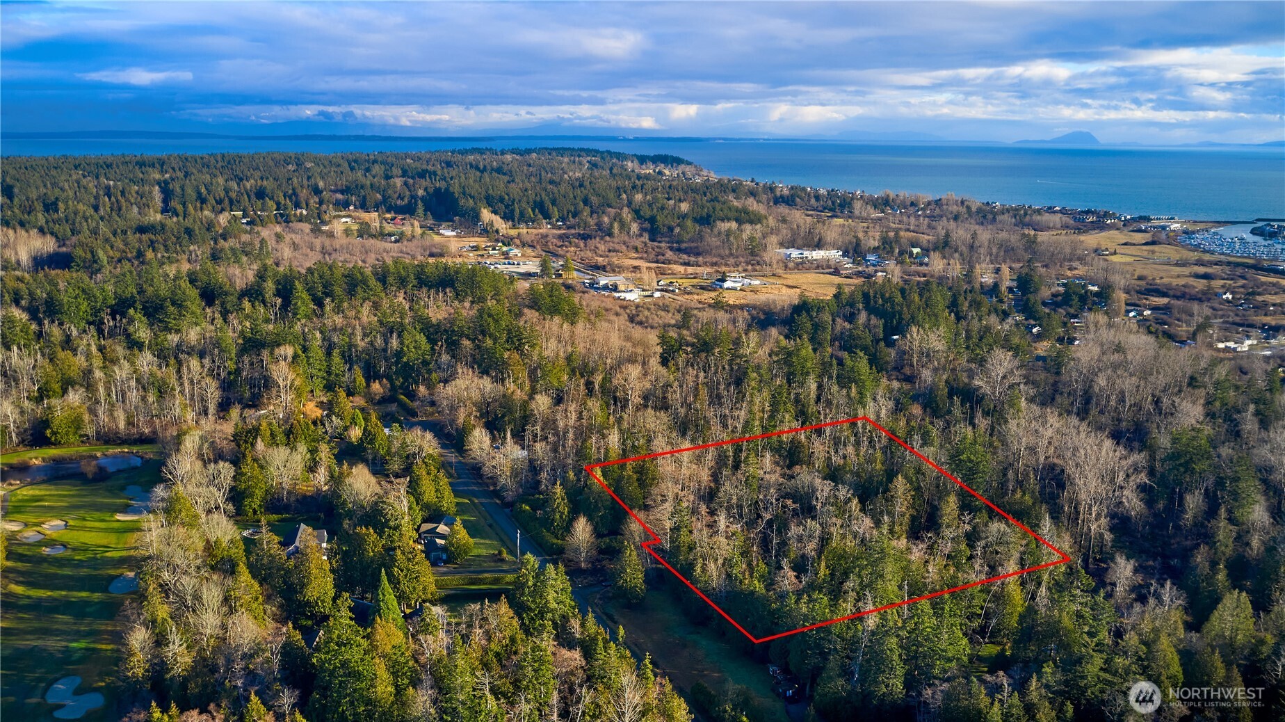 230 Iris Boulevard Point Roberts, WA 98281 - Photo 13 of 15 a view of a city