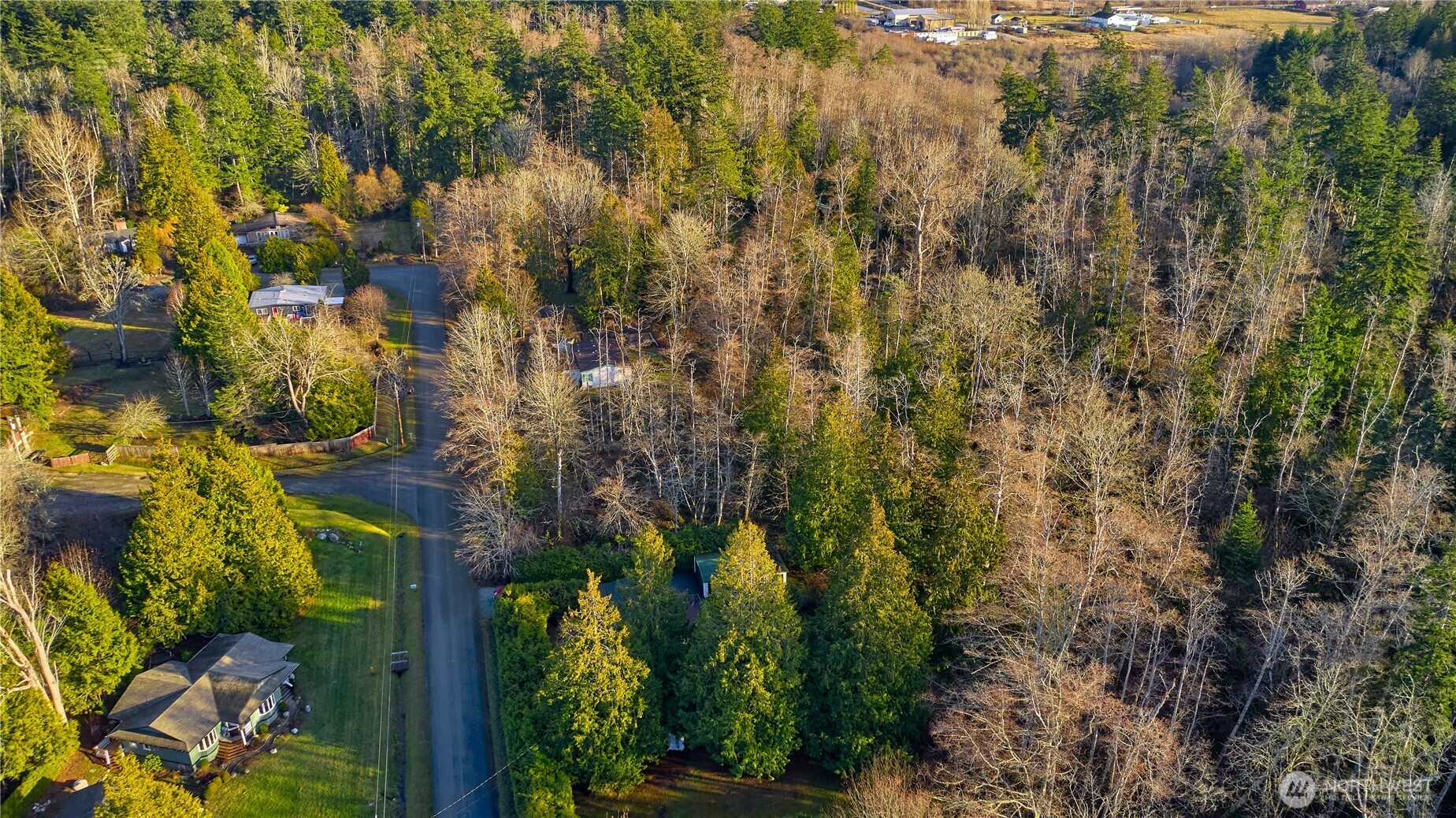 230 Iris Boulevard Point Roberts, WA 98281 - Photo 14 of 15