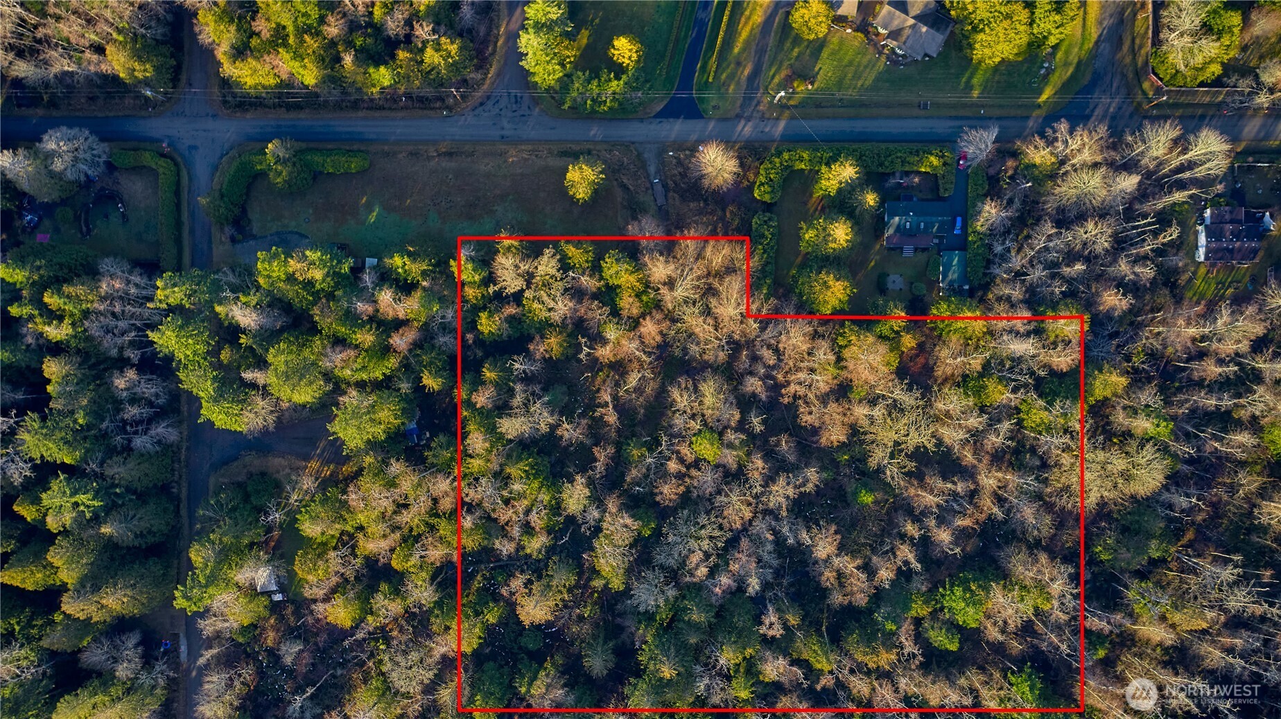 230 Iris Boulevard Point Roberts, WA 98281 - Photo 15 of 15 a view of a tree