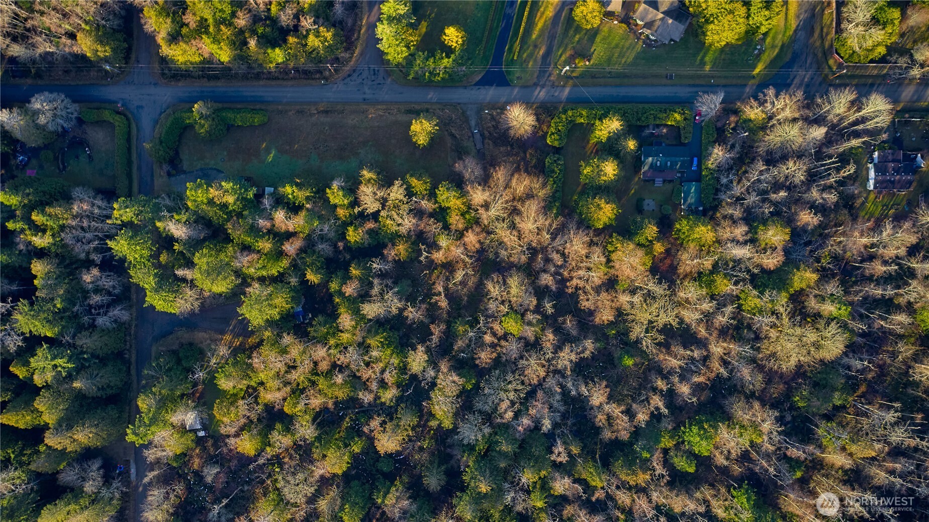 230 Iris Boulevard Point Roberts, WA 98281 - Photo 3 of 15