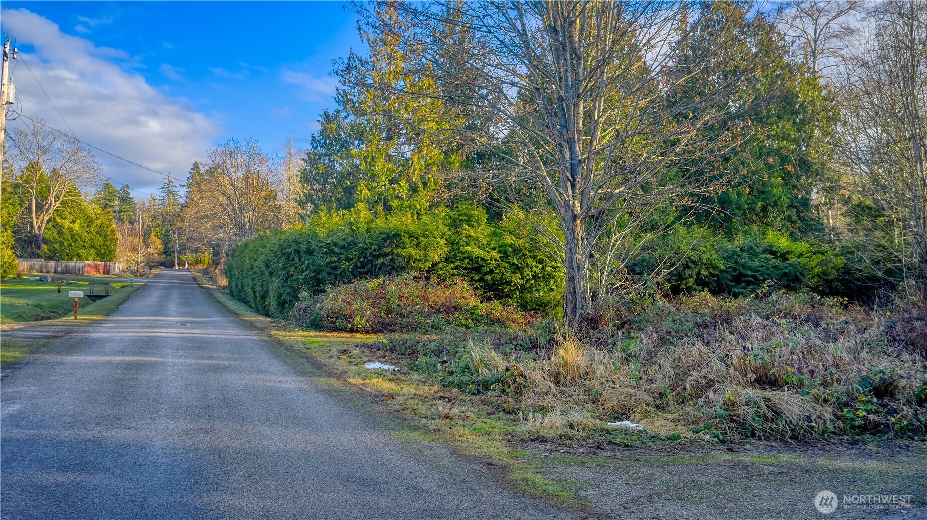 230 Iris Boulevard Point Roberts, WA 98281 - Photo 4 of 15 a view of a yard with plants and trees
