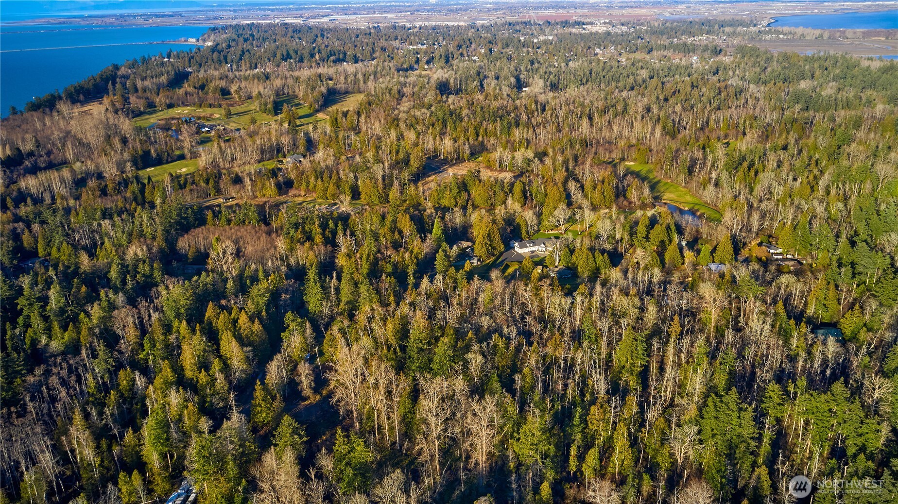 230 Iris Boulevard Point Roberts, WA 98281 - Photo 6 of 15 a view of a city