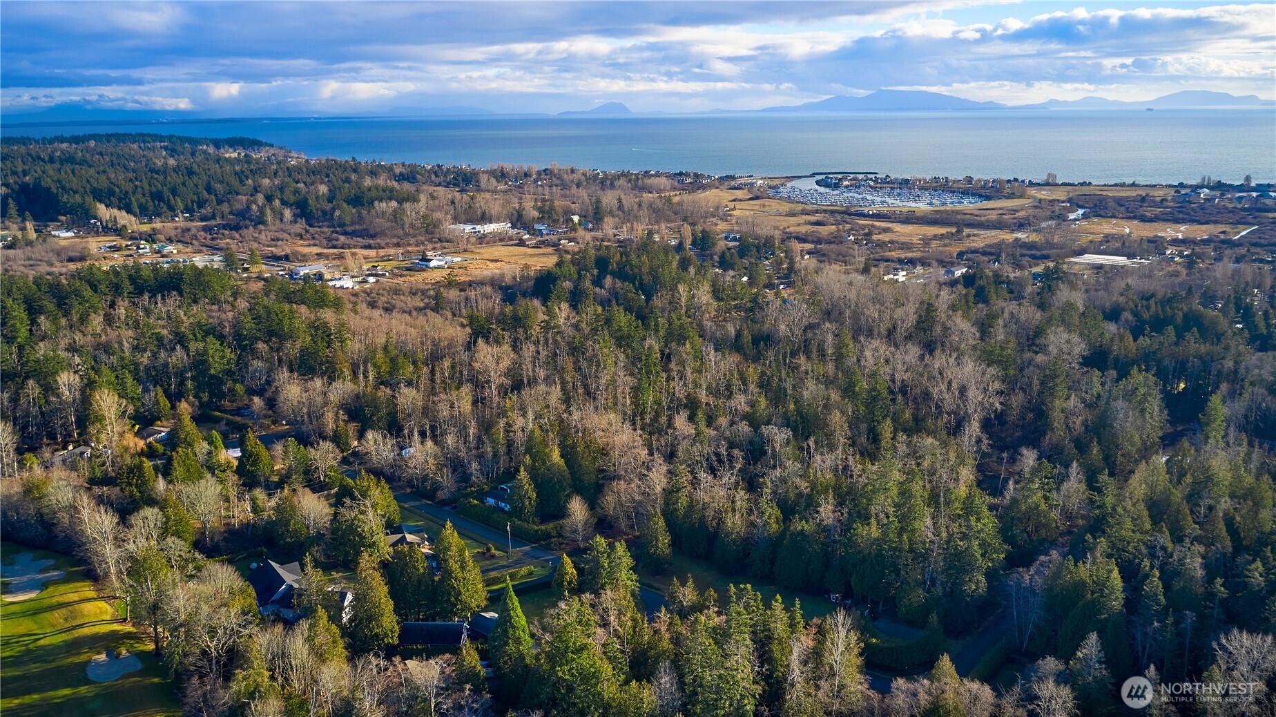 230 Iris Boulevard Point Roberts, WA 98281 - Photo 8 of 15 a view of a city