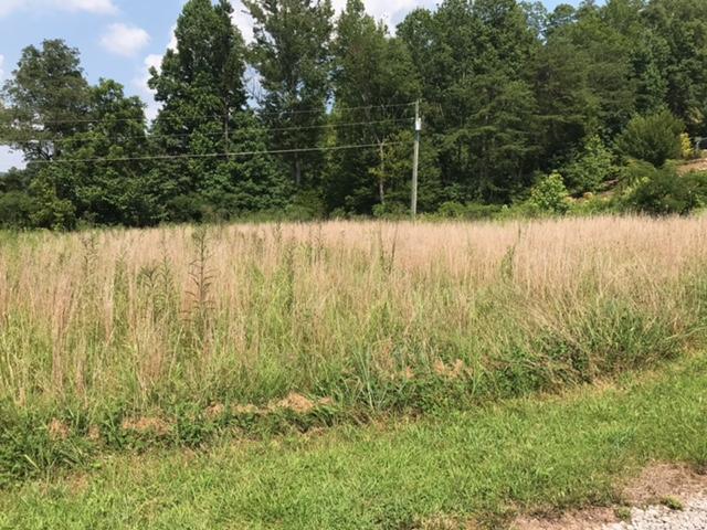 0 Hickory Valley Road Heiskell, TN 37754 - Photo 2 of 3 IMG_4876