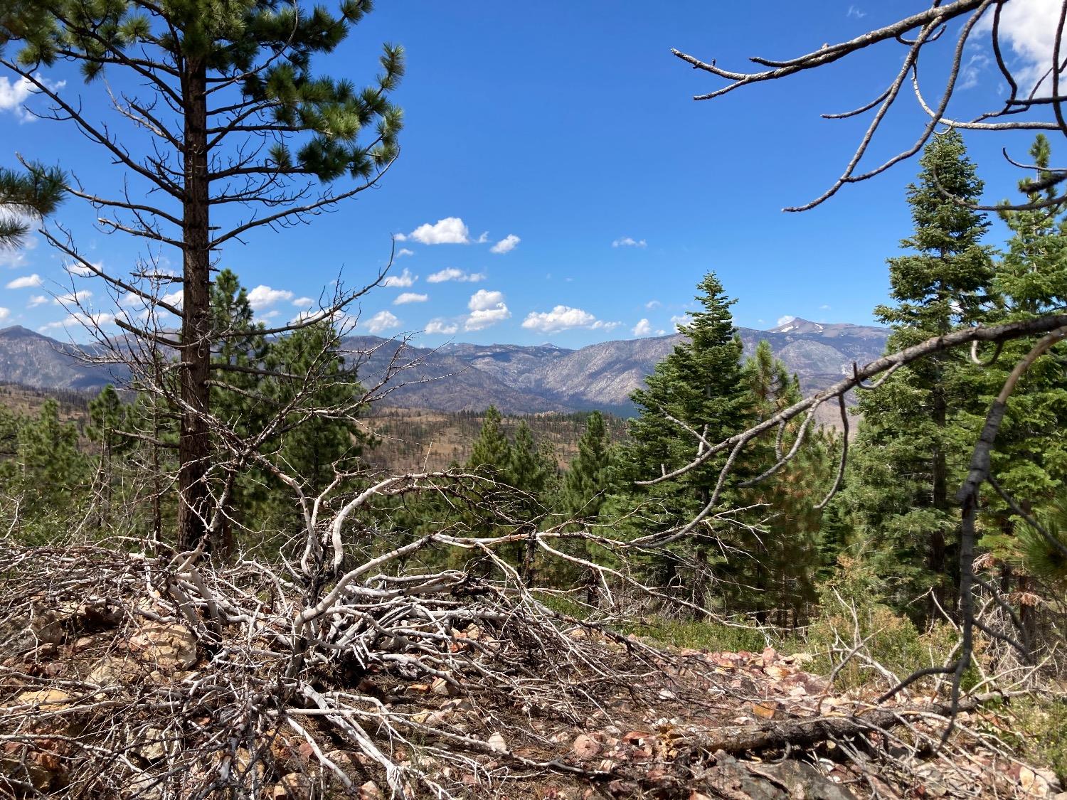 0 Poor Boy Creek Road Markleeville, CA 96120 - Photo 1 of 1 Gallery Image 1
