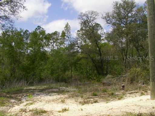 34052 Haas Dr Ridge Manor Webster, FL 33597 - Photo 1 of 1 a view of a yard with a tree