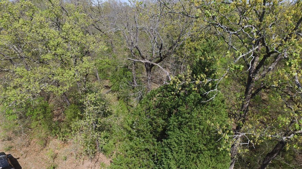 0 Apache Trail Log Cabin, TX 75148 - Photo 18 of 19 a view of a yard