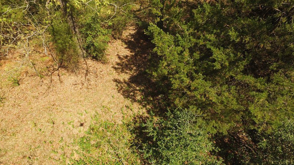 0 Apache Trail Log Cabin, TX 75148 - Photo 5 of 19 a view of a yard
