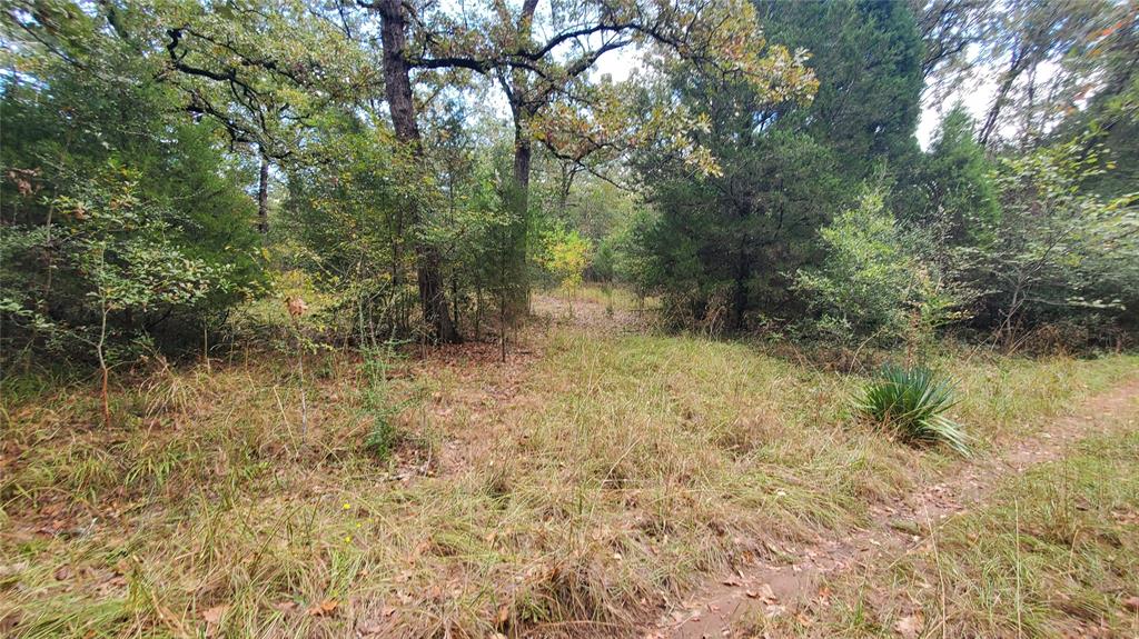 0 Apache Trail Log Cabin, TX 75148 - Photo 8 of 19 a view of outdoor space and trees