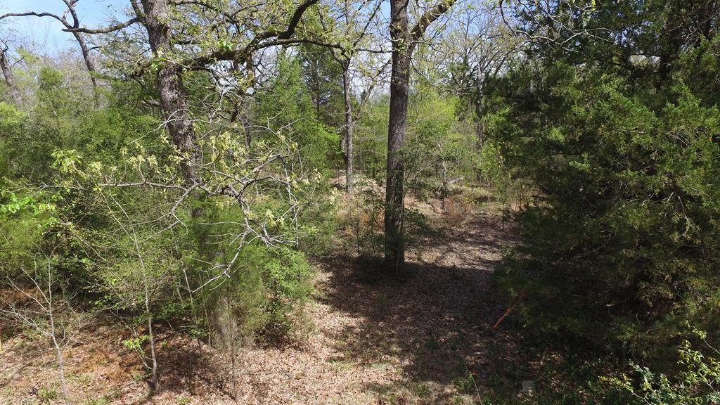 0 Apache Trail Log Cabin, TX 75148 - Photo 10 of 19 a view of a forest filled with trees