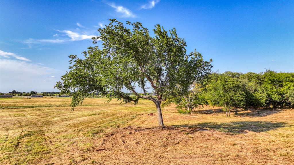 Lot 9-10 Three Quarter Loop Poolville, TX 76487 - Photo 13 of 14