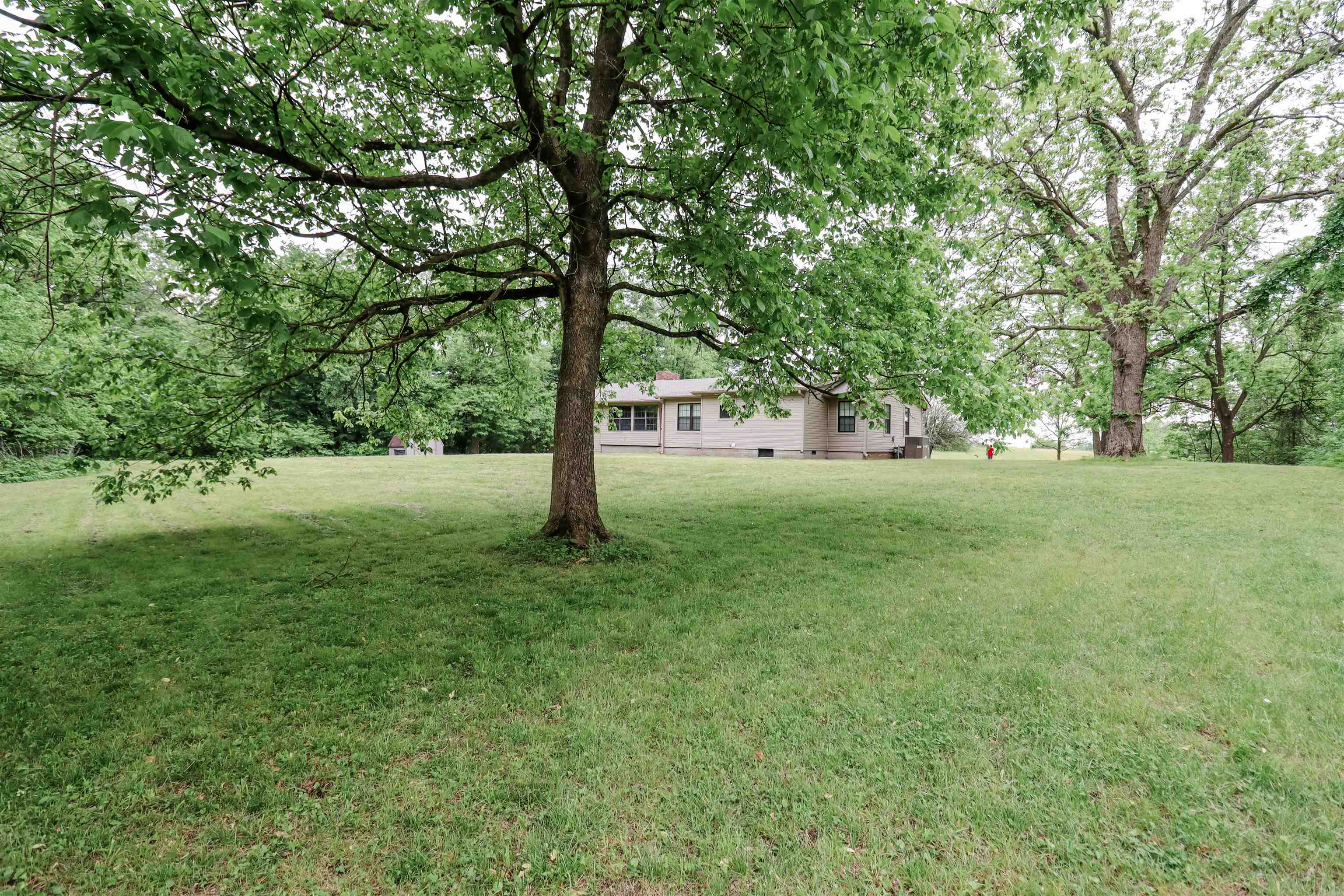 452 Hobe Webb Road Ripley, TN 38063 - Photo 8 of 27