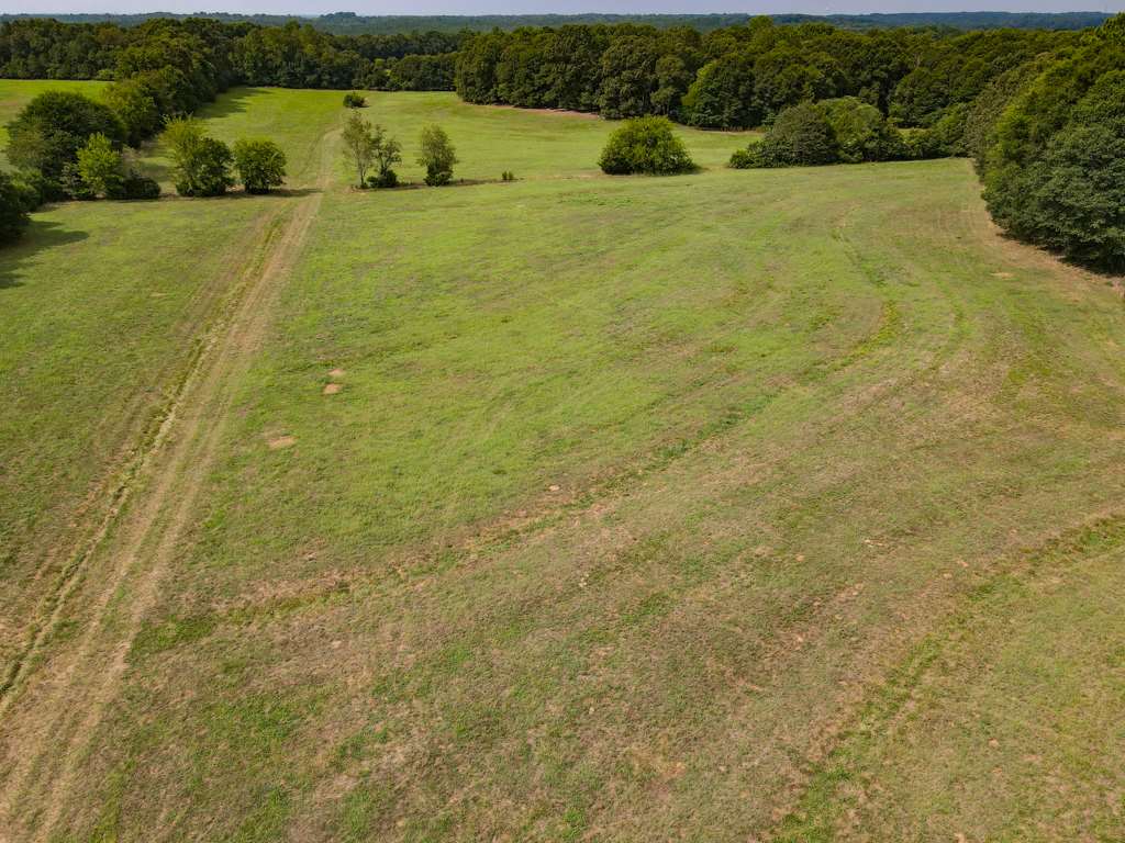 Lot 1 Cooper Bridge Road Woodruff, SC 29388 - Photo 14 of 19