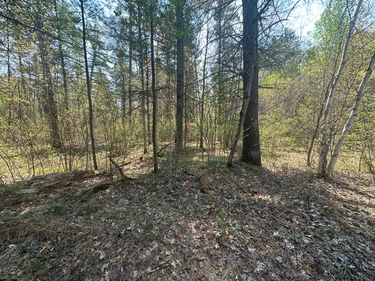 2-lots Florsheim Road Minocqua, WI 54548 - Photo 6 of 9 Gallery Image 6