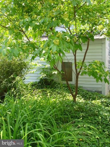 2934 Keswick Road Baltimore, MD 21211 - Photo 7 of 30 Exterior (Rear)