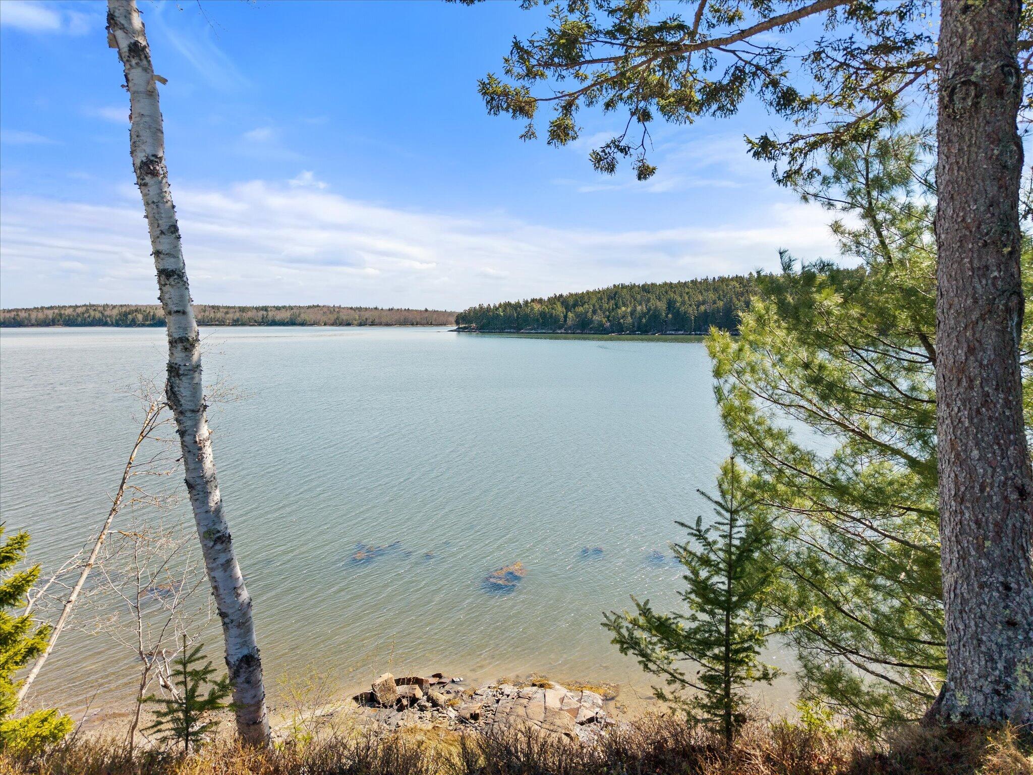 372 Rays Point Road Milbridge, ME 04658 - Photo 18 of 47 18-372 Rays Point
