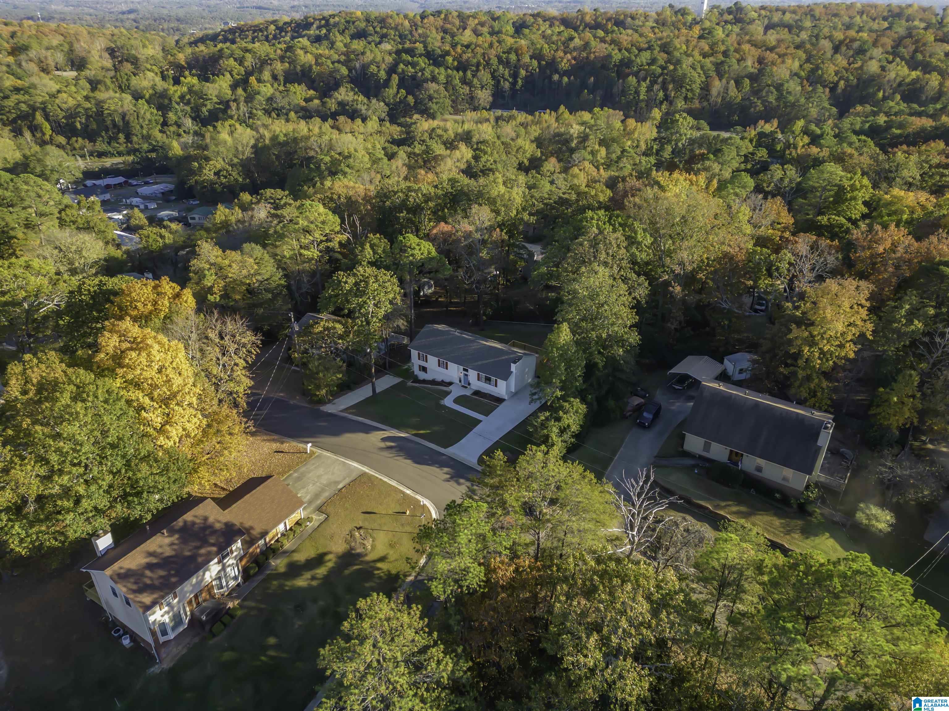 15 Stoneview Trail Birmingham, AL 35210 - Photo 9 of 45